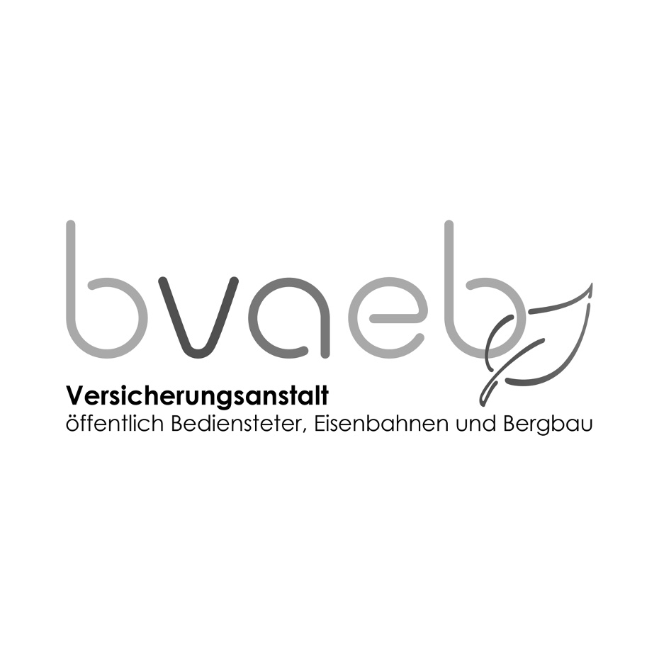 Bvaeb Bseen Website logo